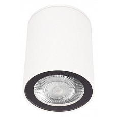 Накладной светильник loft it rush 10344 white